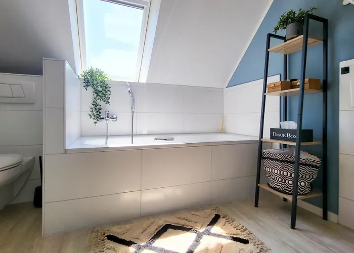 Jooyful 凯沃拉尔