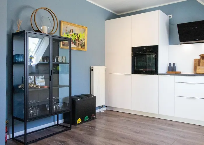 Jooyful 凯沃拉尔