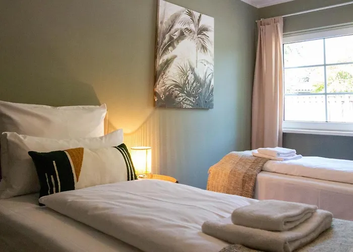 Jooyful 凯沃拉尔