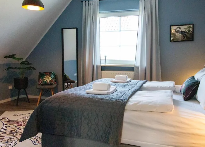 Jooyful 凯沃拉尔