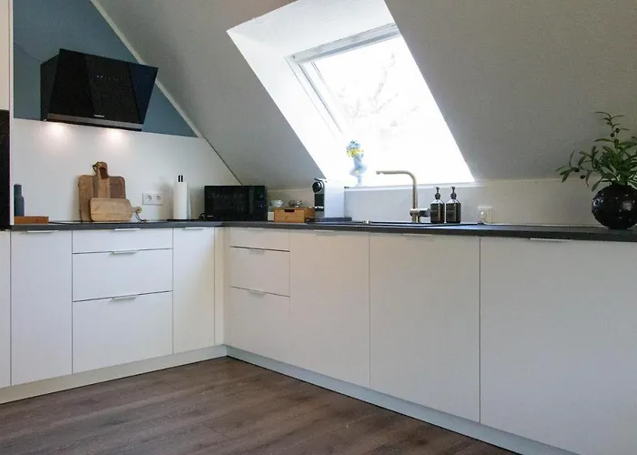 Jooyful 凯沃拉尔